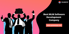 Best MLM Software Development Company