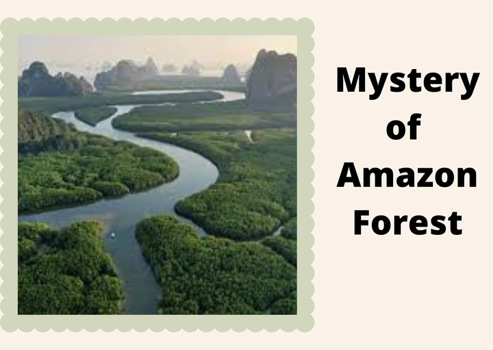Mystery of Amazon Forest | V mantras