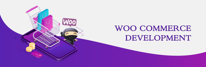 WooCommerce Development Services Company in Delhi - India