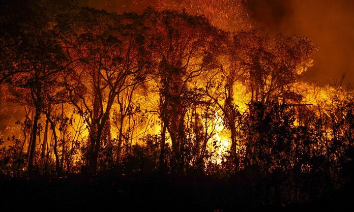 Pantanal tem mais de 3 mil incêndios em novembro; recorde histórico - | JPCN.Blog | https://www.jpcn.blog/