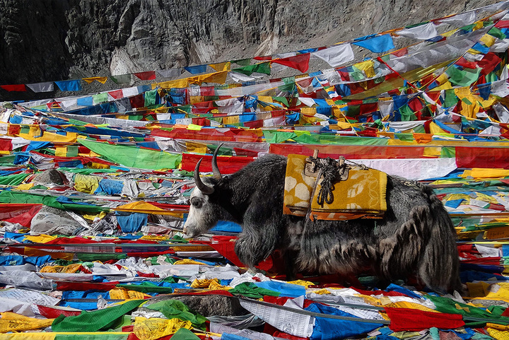 Things To Know Before Trekking In Tibet | Tibet Trail