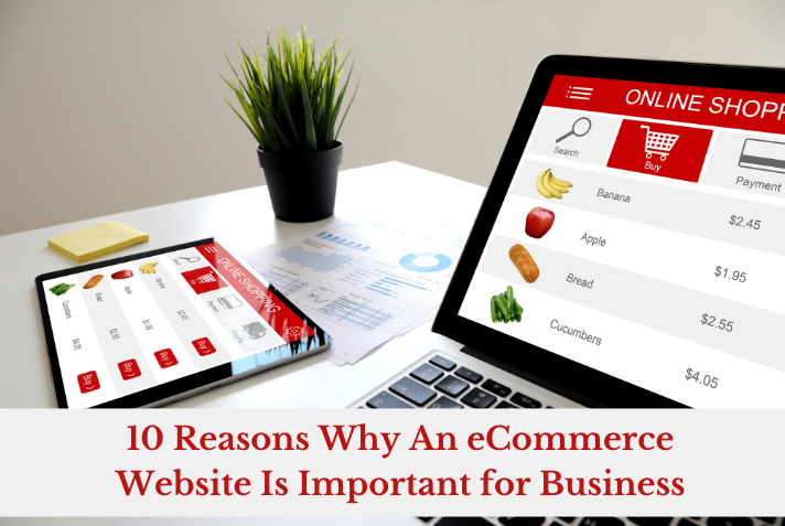 10 Reasons Why An Ecommerce Website is Important for Business