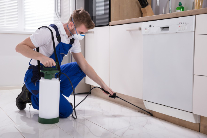 6 Things To Consider When Choosing A Pest Control Company | by B