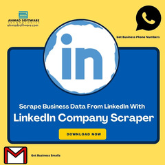 How Can I Export Data From LinkedIn Business Profiles To Excel?