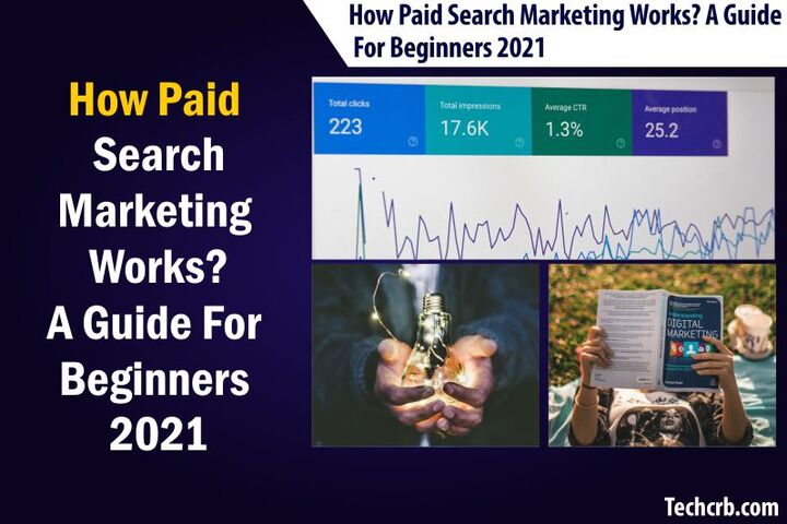 How Paid Search Marketing Works? A Guide for Beginners 2021 - Te