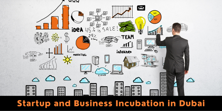 Startup and Business Incubation in Dubai - Riz &amp; Mona