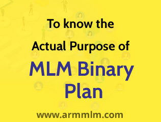 To know the Actual Purpose of MLM Binary Plan - ARM MLM Software