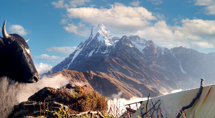 Mardi Himal Trek in Nepal | Trending Trekking Route of Nepal
