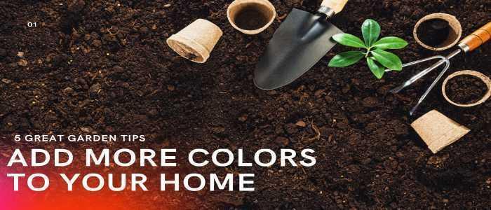 5 Great Home Garden Tips to Add More Colors to Your Home - Garde
