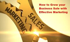 How to Grow your Business Sale with Effective Marketing