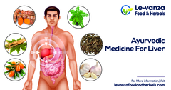 Ayurvedic Medicine for Liver | Ayurvedic Treatment | Liver Disea