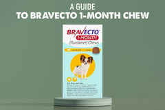 Bravecto 1-Month Chew: The Complete Dog Owner&#039;s Guide