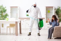 Dos and Don’ts you need to follow for Pest Control!