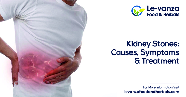Kidney Stones: Causes, Symptoms &amp; Treatment | Levanza Herbals