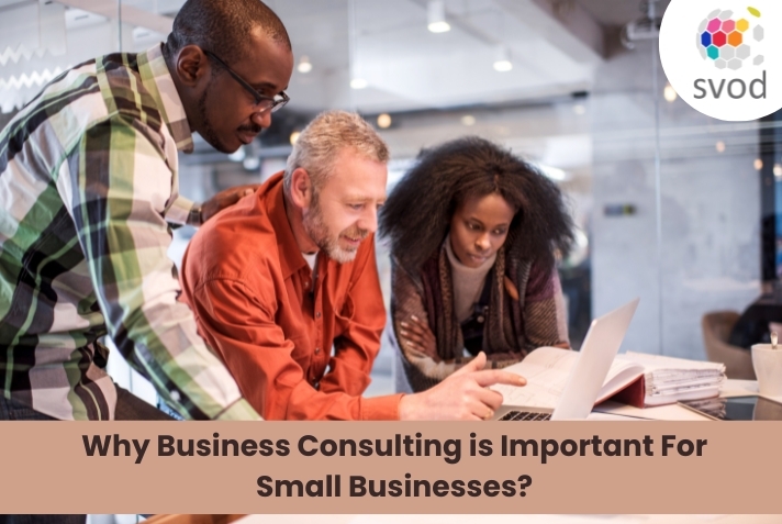 Why business consulting is important for small businesses | Zupy