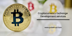 Pick the Perfect Cryptocurrency Exchange Development Services