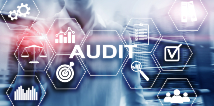 Audit and Assurance Services in India | svod Advisory