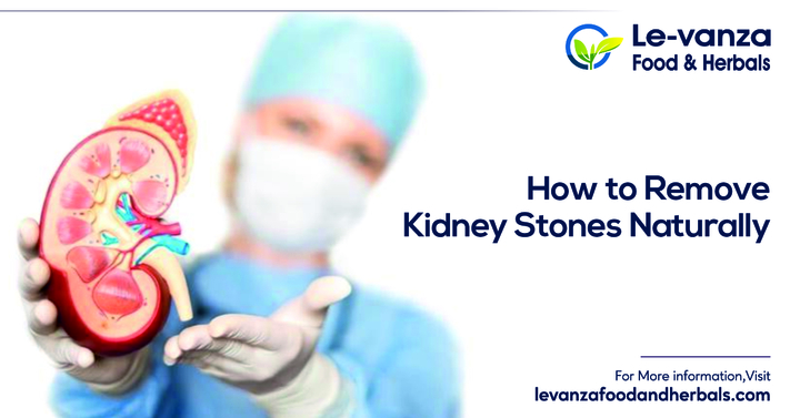 How to Remove Kidney Stones Naturally? | Kidney Stone Treatments