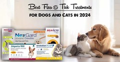 Best Flea &amp; Tick Treatments for Dogs and Cats in 2024 - BudgetVe