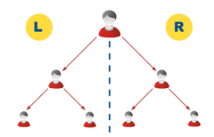 About Binary MLM plan — Things to know!!!