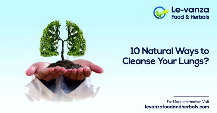 10 Natural Ways to Cleanse Your Lungs | Tar Clean | Levanza