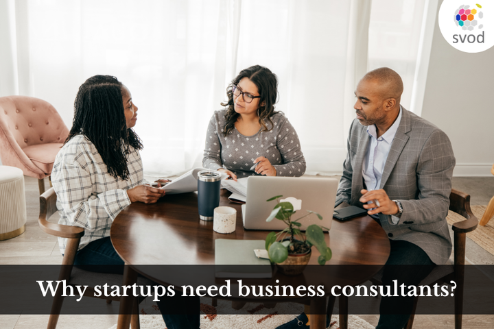 Why Startups Need Business Consultants?