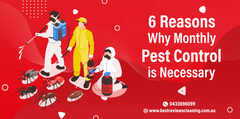 6 Reasons Why your House Requires Monthly Pest Control Service -