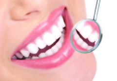 Oral Health Care Professionals | dentalwebdmd.com