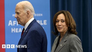 Biden has backed Harris for President. What happens next in US election?