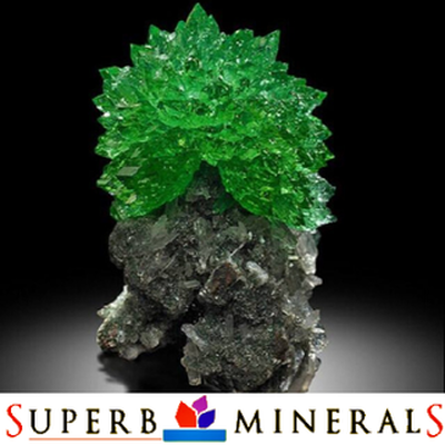 Superb Minerals