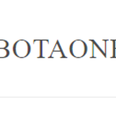 Bota BOTAONE