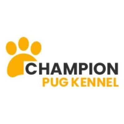 Champion Pug Kennels