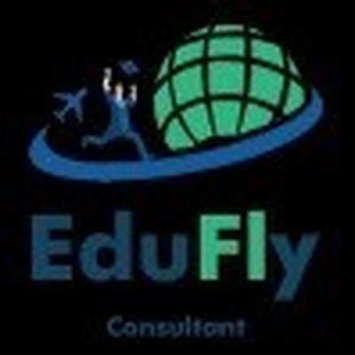 Edufly consultant