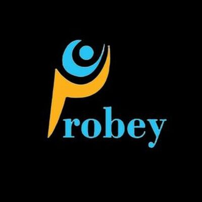 Probey Services