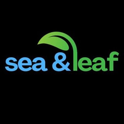 Sea And Leaf