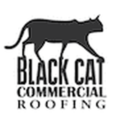 Blackcat Commercial Roofing