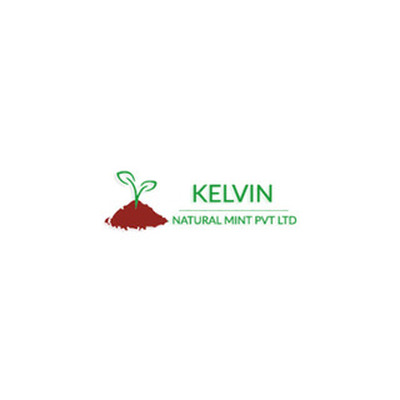 Kelvin  Natural Mint