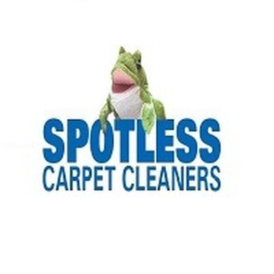 Sportless Carpet Cleaners