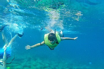 Top 3 Best Snorkeling Spots In Fort Lauderdale, Florida